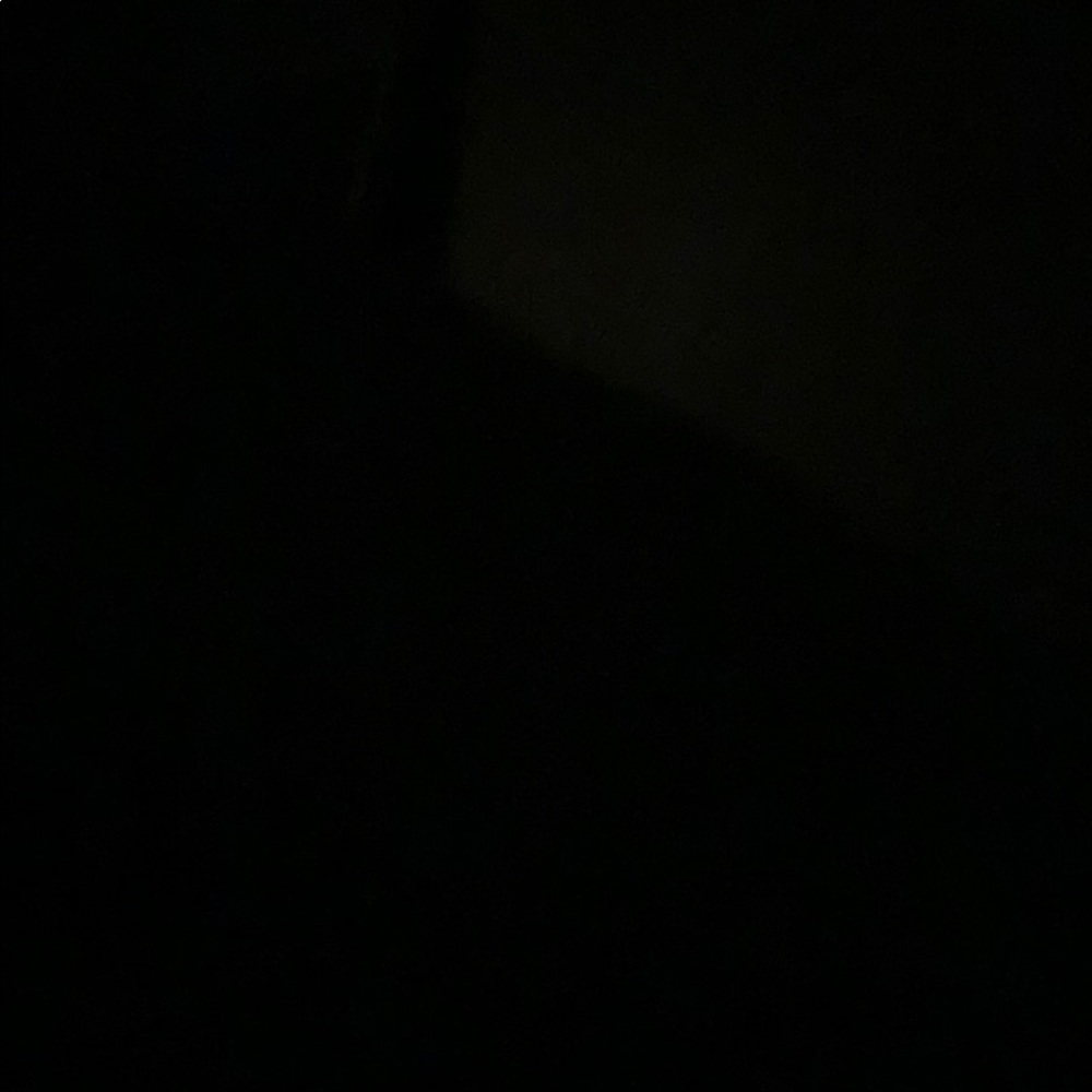 Meet your Posher, Alaynah